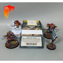 2ªmano WHU030 - Buscaverdades de Xandire