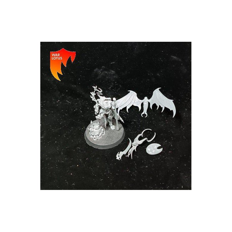 2ªmano SY009 - Druanti el Archiaparecido