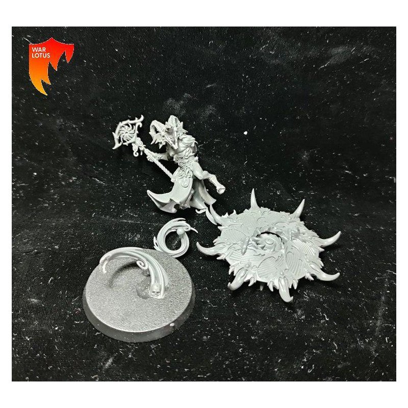 2ªmano DT002 - Chamán Tzaangor - Tzeentch