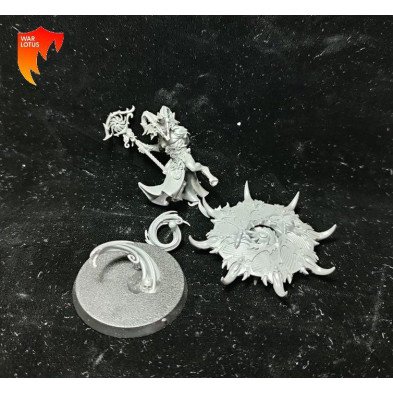 2ªmano DT002 - Chamán Tzaangor - Tzeentch