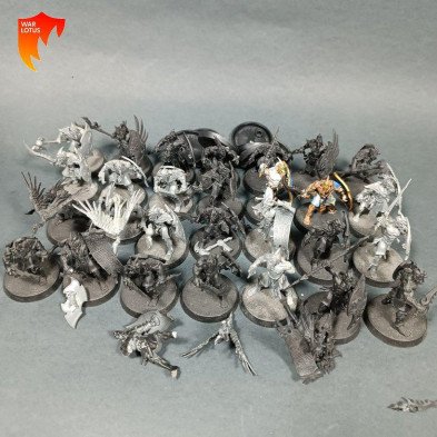 2ªmano DT009 - Acólitos Kaíricas - Tzeentch