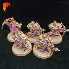 2ªmano SE115 - Castigadores - Stormcast Eternals