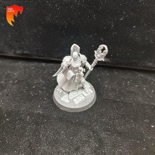 2ªmano SE116 - Knight-Incantor - Stormcast Eternal