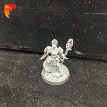 2ªmano SE117 - Knight-Incantor - Stormcast Eternal