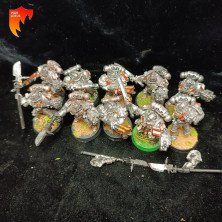 2ªmano GK024 - Escuadra de Caballeros Grises