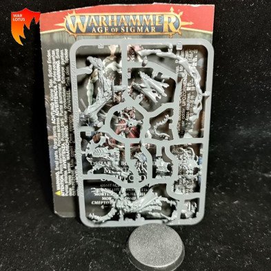 2ª mano OB024 - Mortisan ossifector