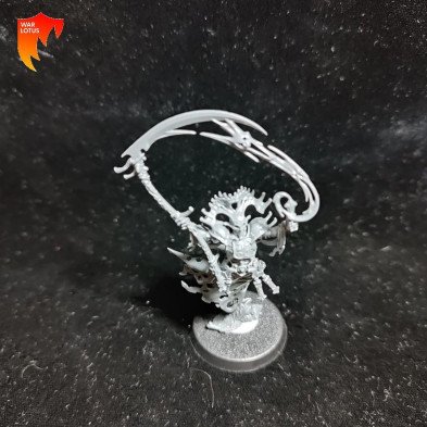 2ª mano OB025 - Mortisan ossifector