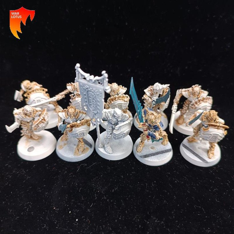 2ª mano OB030 - Mortek guard