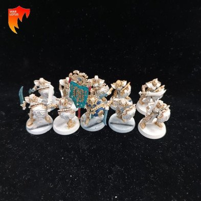 2ª mano OB031 - Mortek guard