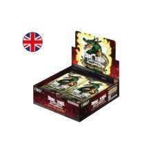 FB07 - CAJA Wish of Shenron