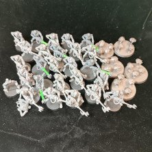 2ªmano Necrones - Guerreros y escarabajos