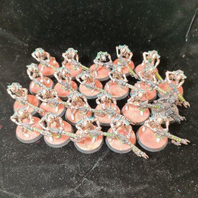 2ªmano Necrones - Guerreros y escrabajos necron