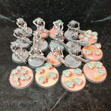 2ªmano Necrones - Guerreros y escarabajos