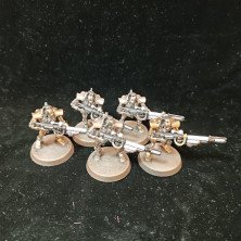 2ªmano Necrones - Omnicidas