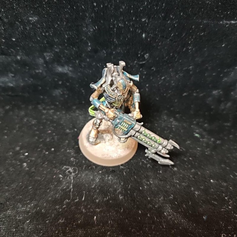 2ªmano Necrones - Guardia real