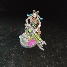 2ªmano Necrones - Guardia real