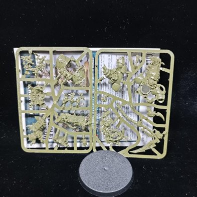 2ªmano DG002 - Typhus