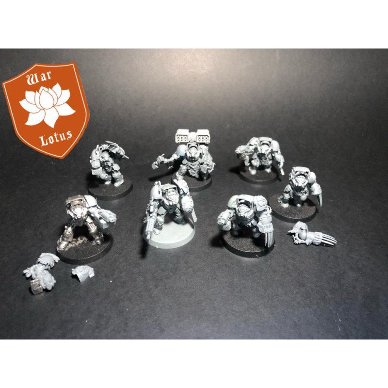 2ªmano SW003 - Exterminadores Lobo