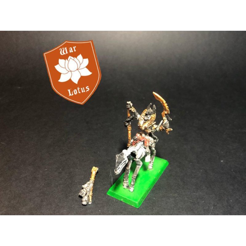 2ªmano VM025 - Sacerdote Funerario - Khemri