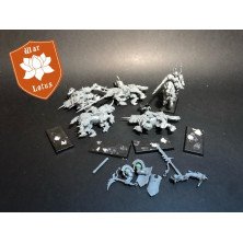 2ªmano StD011 - Caballeros del Caos