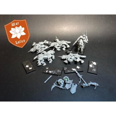 2ªmano StD011 - Caballeros del Caos