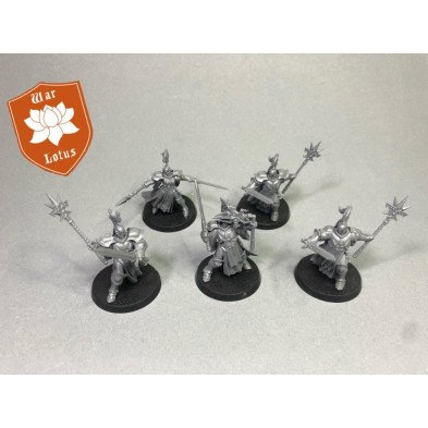 2ªmano SE048 - Evocators - Stormcasts Eternals