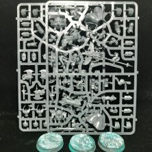 2ªmano AC003 - Custodian Allarus
