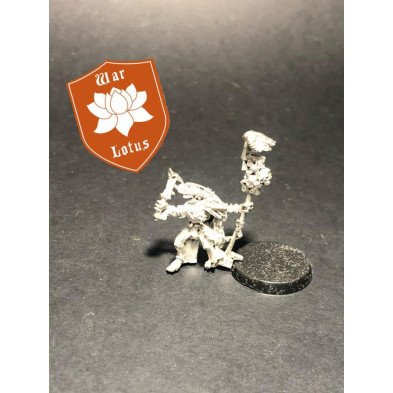 2ª mano Ser027 - Sacerdote Eslizón - Seraphon