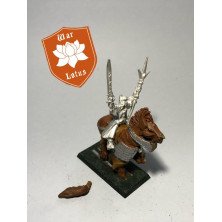 2ªmano VM060 - Mago alto elfo a caballo