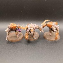 2ªmano SK007 - Rataogors