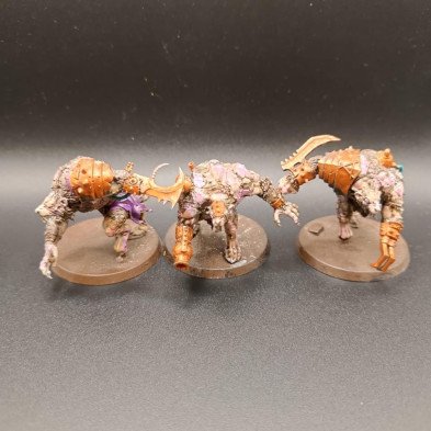 2ªmano SK007 - Rataogors
