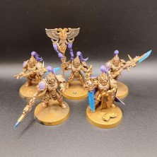 2ªmano AC005 - Guardias Custodios