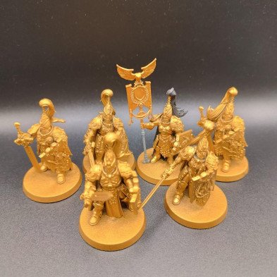 2ªmano AC006 - Sentinel Guard Sodality