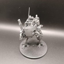 2ª mano ASM037 - Sentinel