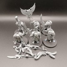 2ªmano AC009 - Custodian Guard Sodality