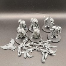 2ªmano AC010 - Custodian Guard Sodality