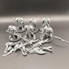 2ªmano AC016 - Allarus Custodians