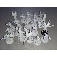 2ª mano HS030 - Diablillas de Slaanesh - Hedonitas