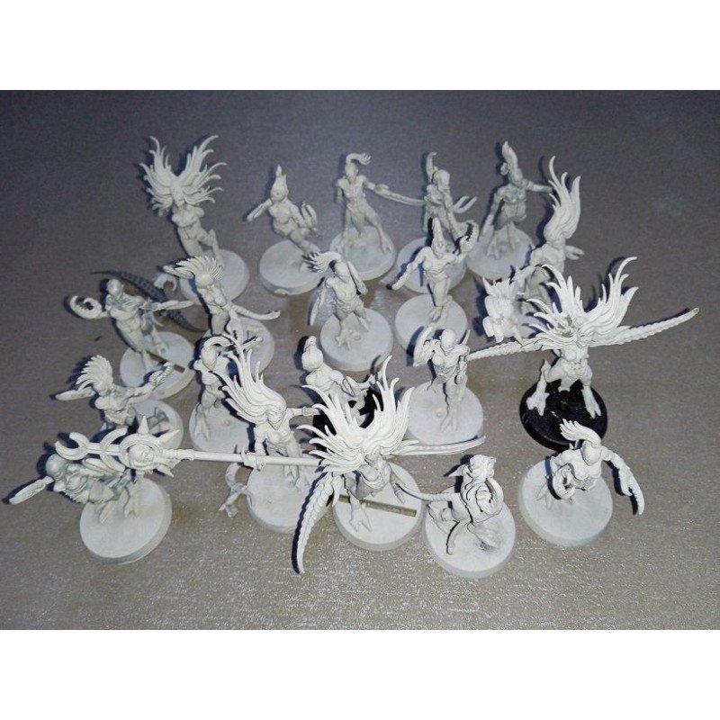 2ª mano HS030 - Diablillas de Slaanesh - Hedonitas