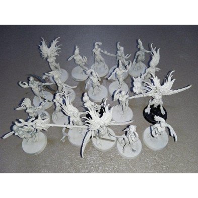 2ª mano HS030 - Diablillas de Slaanesh - Hedonitas