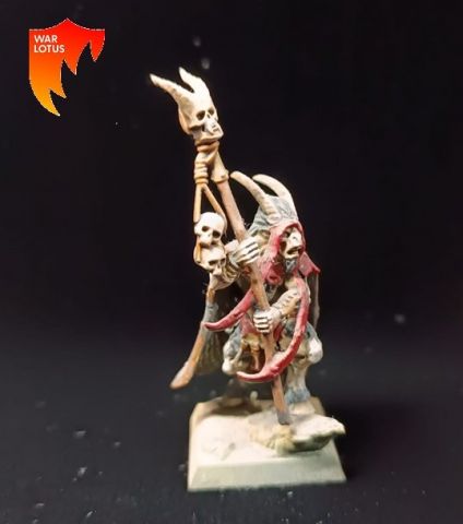2ªmano BC041 - Chamán del rebaño- Bestias del Caos