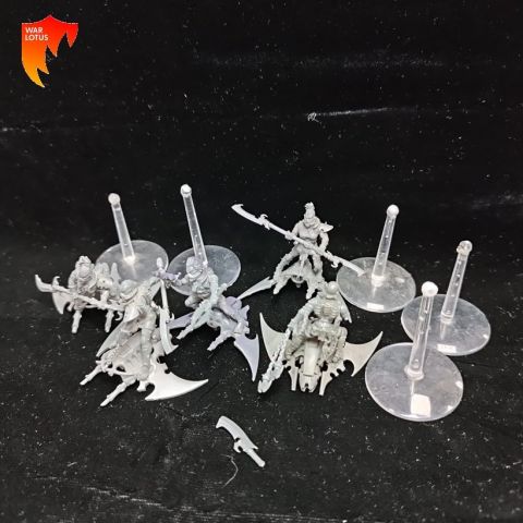 2ªmano Dru050 - Infernales - Drukhari