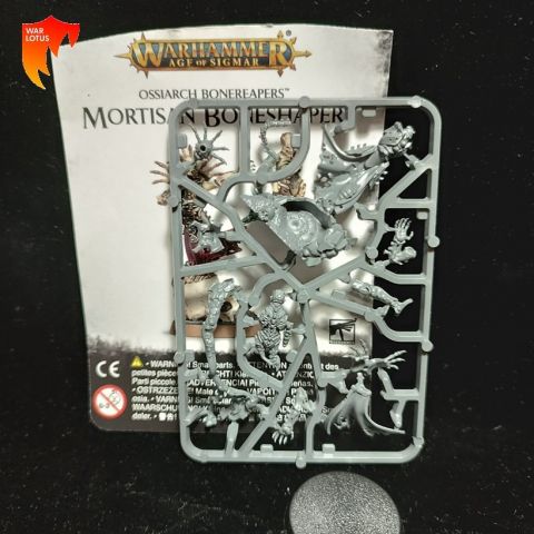 2ª mano OB023 - Formahuesos Mortisan